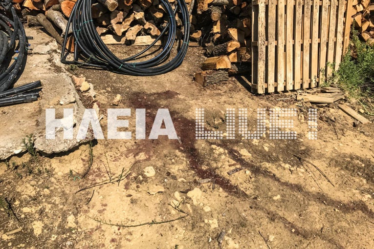 Φρίκη: Ηλικιωμένος κατακρεουργήθηκε με αλυσοπρίονο στην Ηλεία